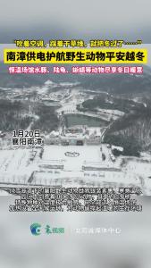 “谁还不是个宝宝啦！” 南漳供电护航野生动物平安越冬