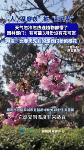 人“乱穿衣”树“乱开花”