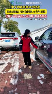 男子深夜划伤同事31台车被抓