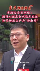 《聚焦湖北两会》 省政协委员李进：拧紧新质生产力“安全阀”