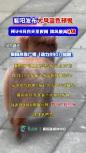 襄阳发布大风蓝色预警！