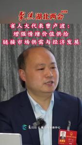 《聚焦湖北两会》 省人大代表曹卢波：情绪价值供给  链接市场供需与经济发展