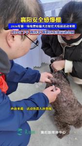 2026年第一场免费给猫犬注射狂犬疫苗活动来咯！