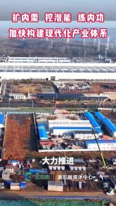 市委经济工作会议召开后，市经信局、市科技局、市水利和湖泊局准备这样干！