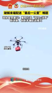 建议襄阳打造“低空+消费”新场景、创新末端配送模式