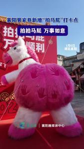 襄阳管家巷新增“拍马屁”打卡点