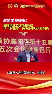 90后政协委员提案：让非遗中药“进医保、下社区”