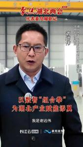 【聚焦湖北两会 代表委员履职记】省政协委员谢远伟：以数智“组合拳” 为湖北产业赋能添翼