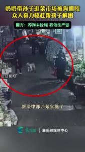 奶奶带孙子逛菜市场被狗撕咬，众人奋力驱赶帮孩子解困。警方：养狗未拴绳，将依法严惩