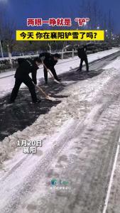 今天，你铲了吗？