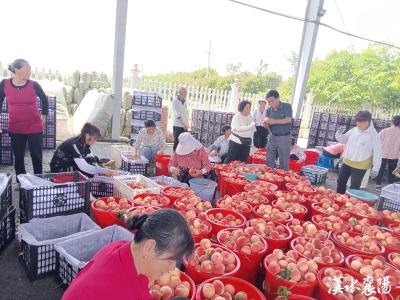 襄阳这两份“民生账单”，藏着最朴实的幸福