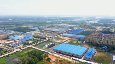 视频︱我县4家企业入选省“两化融合”试点示范企业