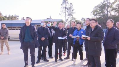 视频︱蕲春扎实推进全省一季度重大项目集中开工仪式分会场筹备工作