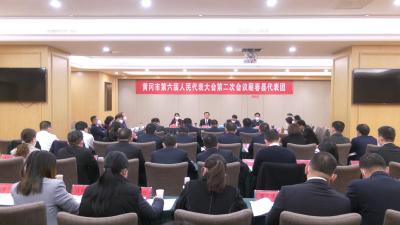 视频︱蕲春县代表团审议市政府工作报告 热议“蕲春元素”