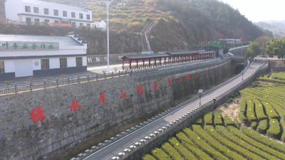 视频︱檀林镇槐树村：共同缔造绘就乡村振兴画卷