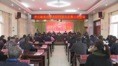 视频︱青石镇：建设武汉都市圈重要旅游康养目的地 打造全域旅游示范镇