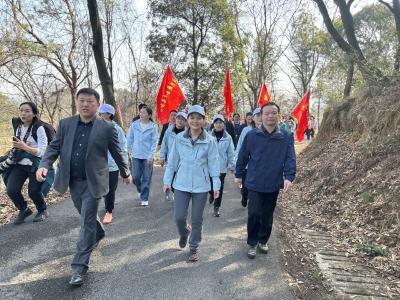 图文直播 | 相约蕲艾小镇，小编带您走进现场！ 