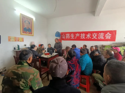 科技特派员为山药农户“问诊把脉”