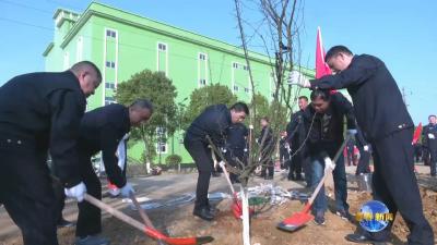 视频︱不负春光添新绿
