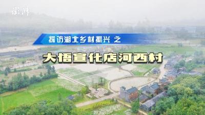 ＃奋进中国 大江澎湃 60秒看大江澎湃｜“中原突围出发地”宣化店的乡村振兴突围