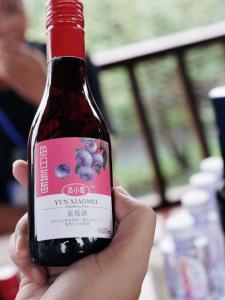 ＃奋进中国 大江澎湃 湖北安陆赵棚镇：小蓝莓带村民脱贫致富，昔日荒山成金山银山