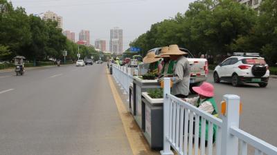 视频｜ 蕲春大道西段交通护栏提档升级