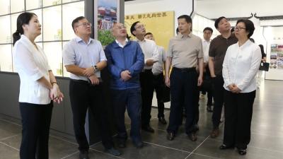视频｜ “保健艾灸师”国家职业技能标准启动式暨开发研讨会在蕲春举行