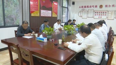 视频｜郭小野来蕲调研《议案》办理工作