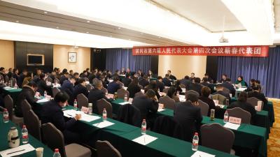 蕲春代表团审议市政府工作报告