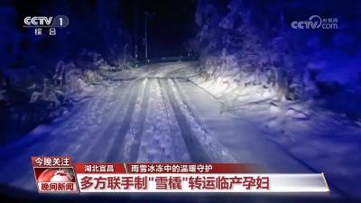 雨雪冰冻中的温暖守护 