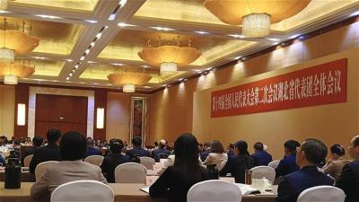 全国人大代表讲述中国式现代化的“荆”彩实践