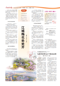 江城梅花处处开 
