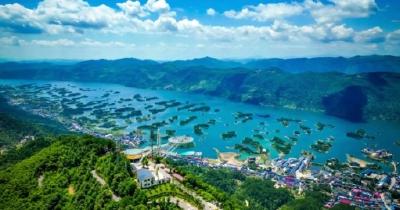 奋进中的湖北·黄石篇④ |西塞山前白鹭飞　遇见青绿不须归