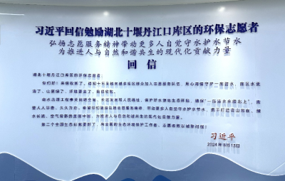 “我们都是收信人”