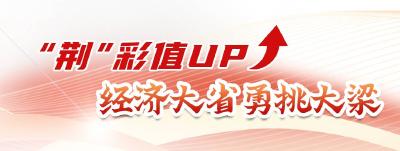 牢记总书记嘱托丨勇挑大梁 UP前行！