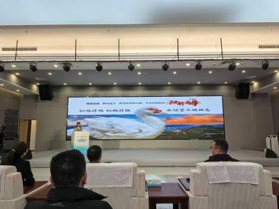 从“深闺珍禽”到“国民爆款”——看阳新屯鸟如何走出产业破圈之路