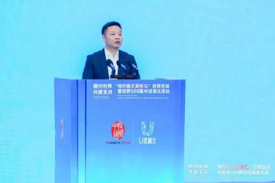 雷军，为何在湖北干这件大事？
