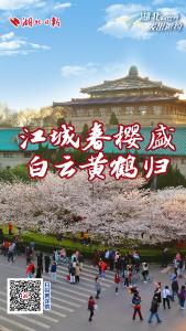 樱花只是开场！1份邀约＝6种世界级风景