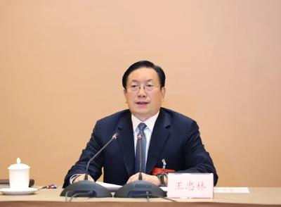 湖北代表团传达学习习近平总书记重要讲话精神 扛牢经济大省责任担当 王忠林主持并讲话