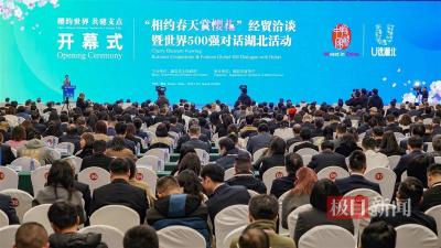 相约春天赏樱花，东湖之畔话共赢：80个重点项目签约超1900亿元