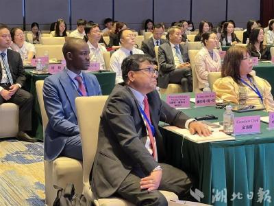 12国代表组团来武汉！这件大事牵动全球目光