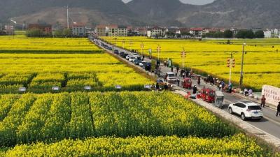 当好排头兵 挺进百强县 | 入选“全国文明村”，武穴这个村到底有啥“文明密码”？