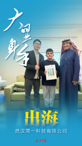 武汉民企，大显身手