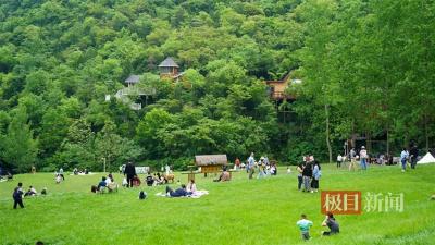 年轻人返乡酿米酒、养肥牛，这个农场让空心村“活”起来了！