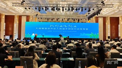 引“雁”归巢兴荆楚 湖北五大支撑体系撬动返乡创业新热潮