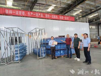 世界水联盟与巨通控股集团助力湖北麒凌卓商贸公司共绘产业振兴新蓝图