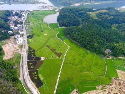 崇阳：土地“破局”绘新卷 山乡巨变展新颜