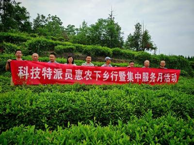 红安县科技特派员惠农下乡服务月成效显著 科技赋能农业产业高质量发展