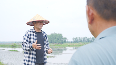 监利三洲联垸：泽国上崛起的希望与坚韧