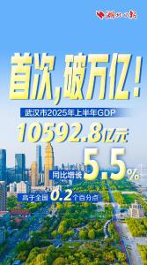 武汉期中考，得了多少分？